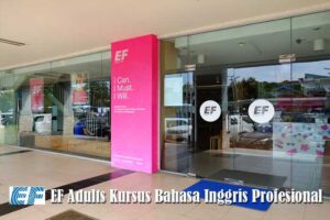 Bahasa Inggris Profesional di EF Adult