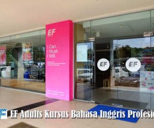 Bahasa Inggris Profesional di EF Adult