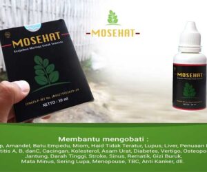 Obat Herbal Modern Mosehat