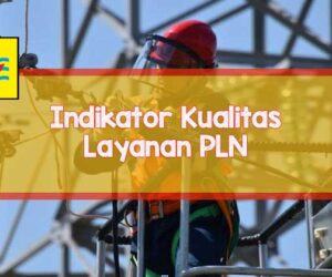 pln